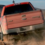 Raptor_003