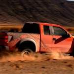 Raptor_004