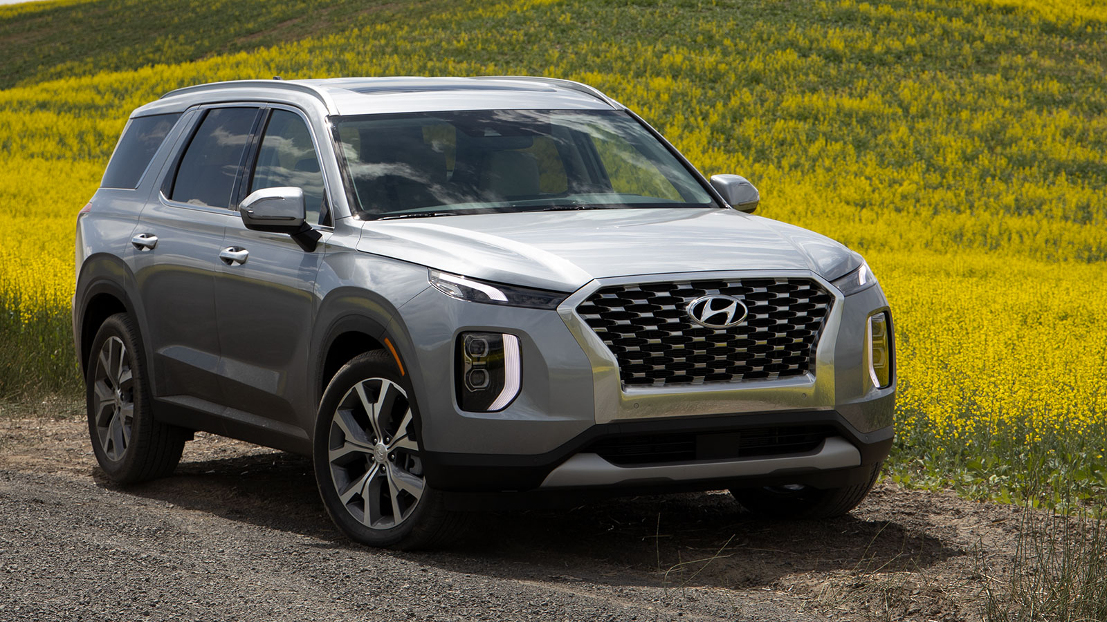 Palisade005 txGarage