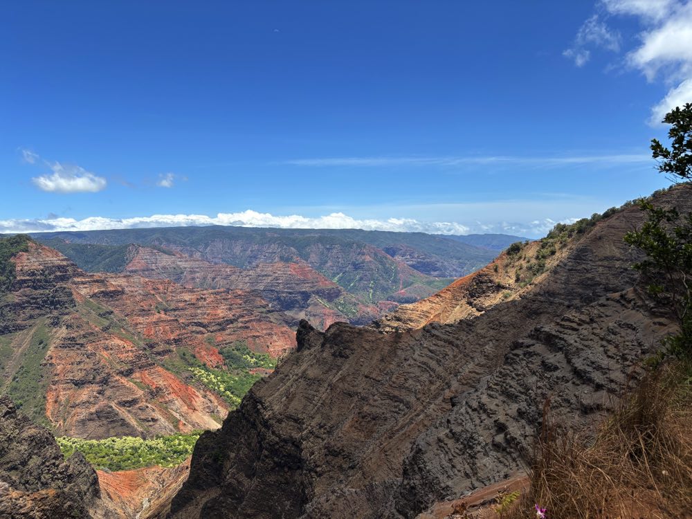 WAIMEA CANYON